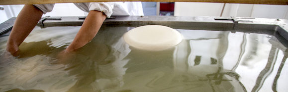 cheese brine production