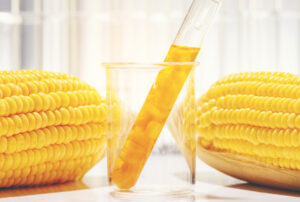 Corn syrup - biofuel