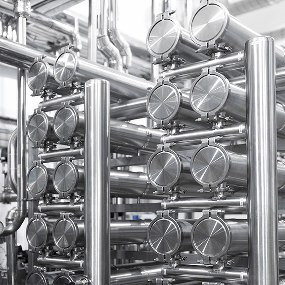 Membrane system in plant