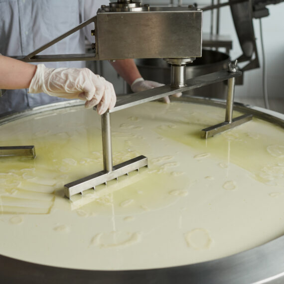 Cheese production